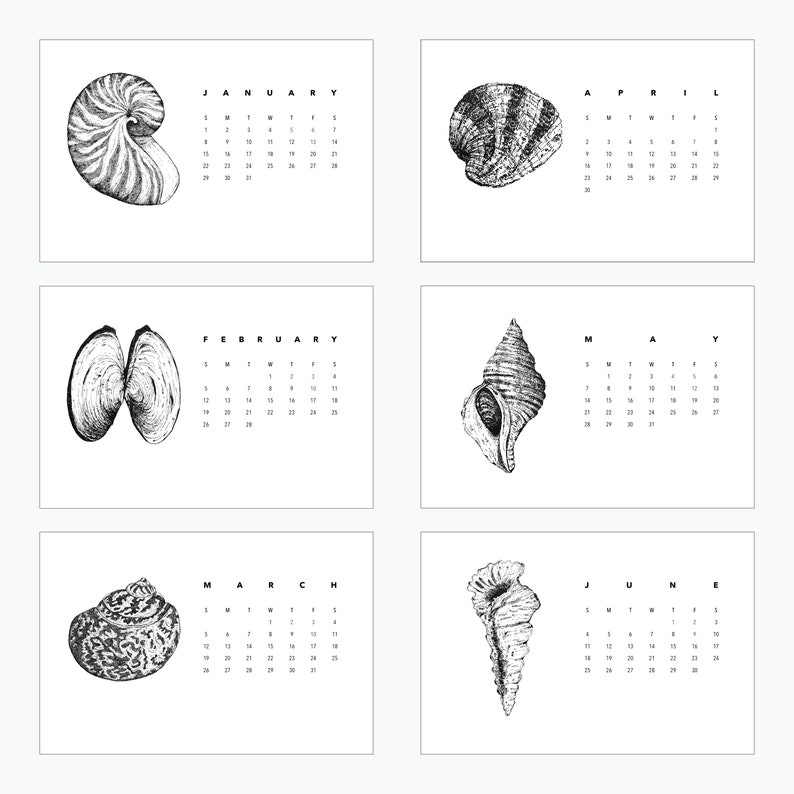 2023 Calendar Shells Theme Etsy